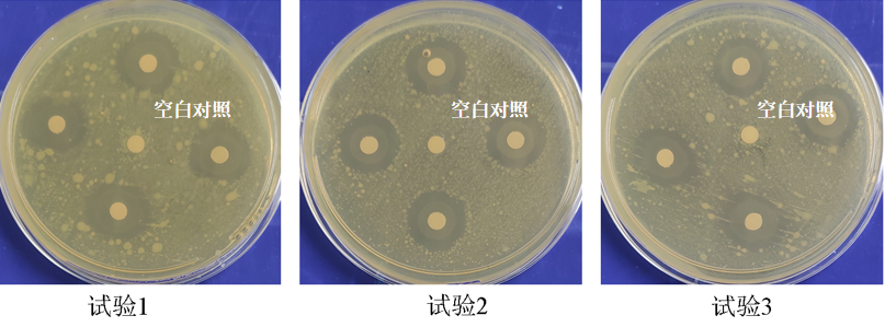 祛痘產品,祛痘功效測定,化妝品,監督