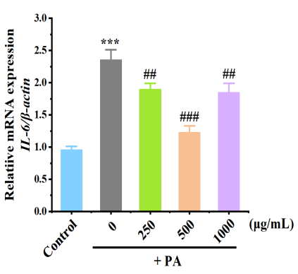 體外細胞培養,模型,化妝品抗衰,功效評價