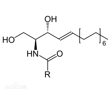 化妝,抗皺,活性物質(zhì),皺紋,玻尿酸,視黃醇