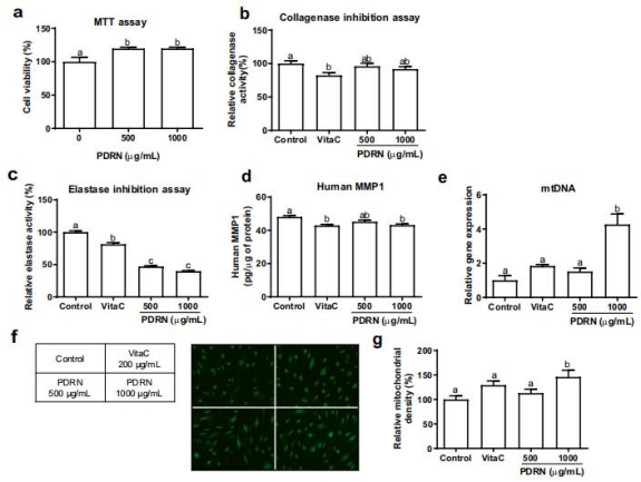 PDRN,再生醫(yī)學(xué),護(hù)膚前沿,皮膚微生態(tài),安全性評估