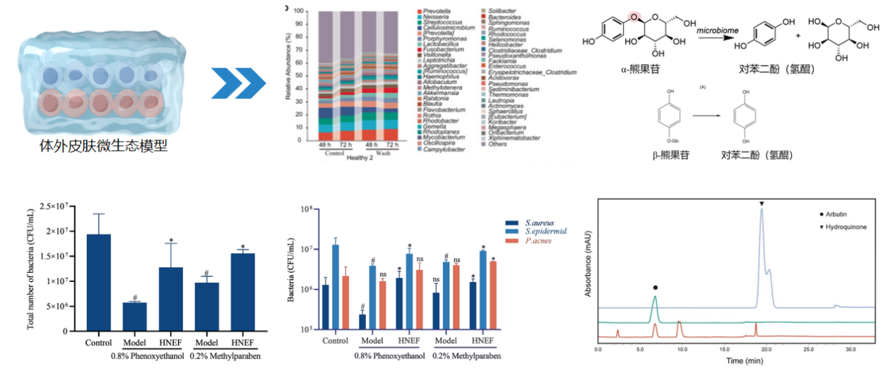 PDRN,再生醫(yī)學(xué),護(hù)膚前沿,皮膚微生態(tài),安全性評估