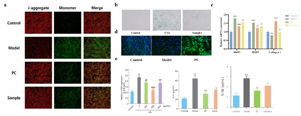 抗炎,PDRN,再生醫(yī)學(xué),護(hù)膚前沿,皮膚微生態(tài),安全性評估